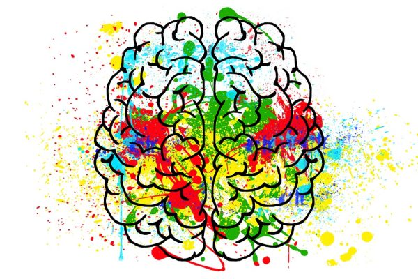 Receptori, neurotransmiţători, medicamente şi afecţiuni psihiatrice