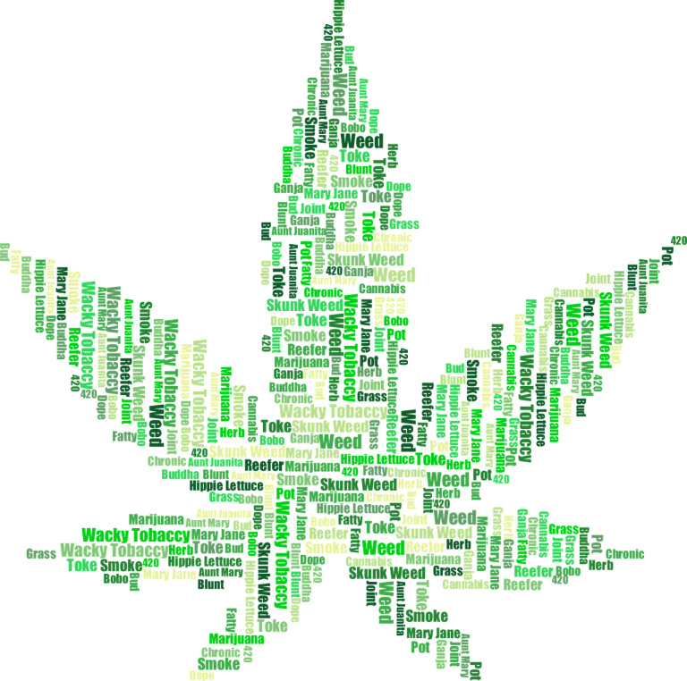 Cannabisul – informaţii de interes general. Partea I