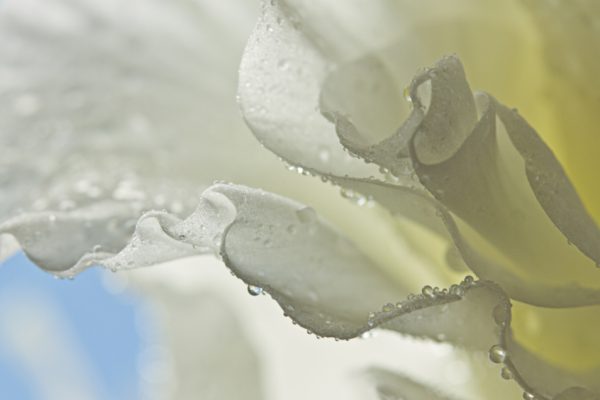 simptomele psihologice ale perimenopauzei